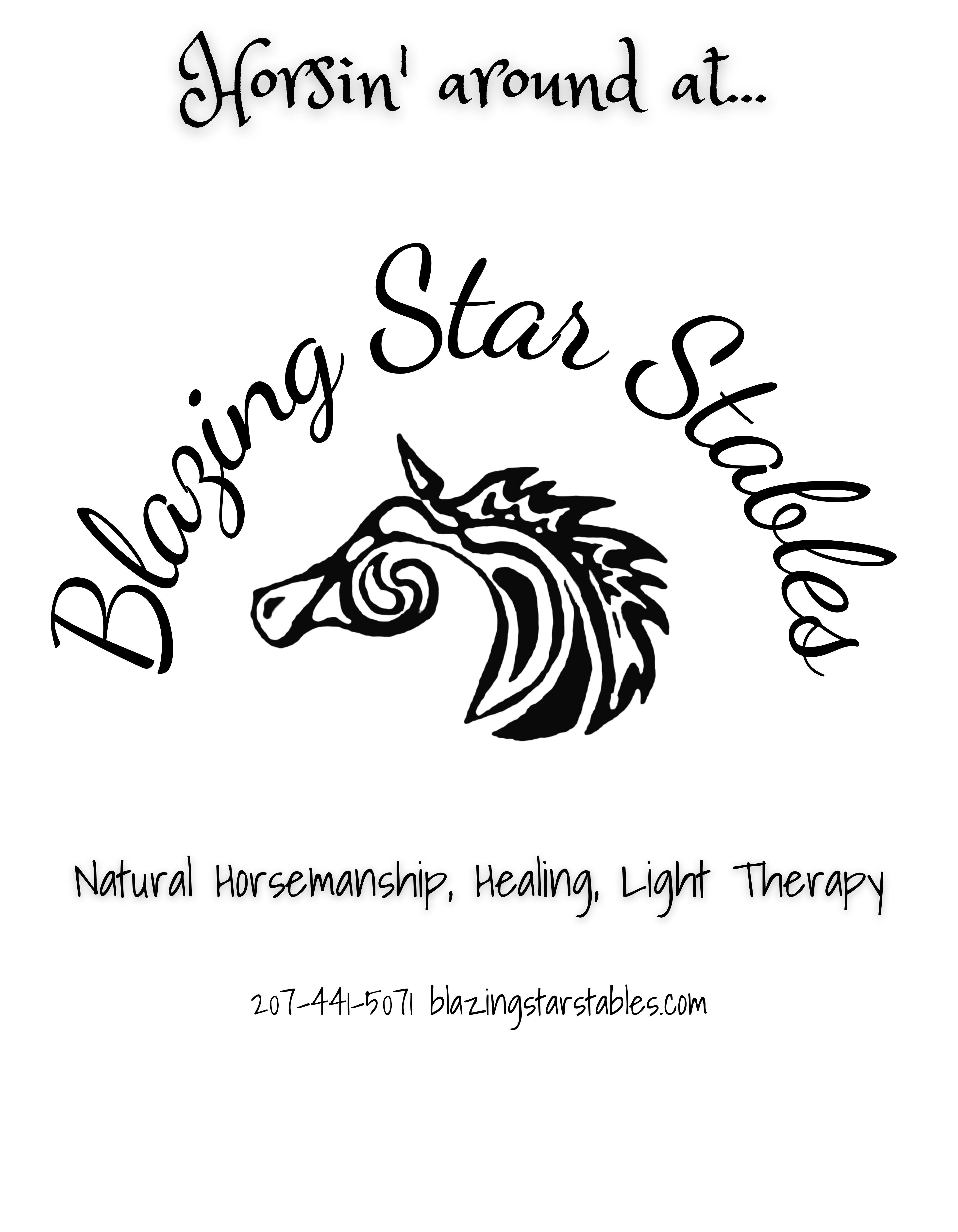 Blazing Star Stables