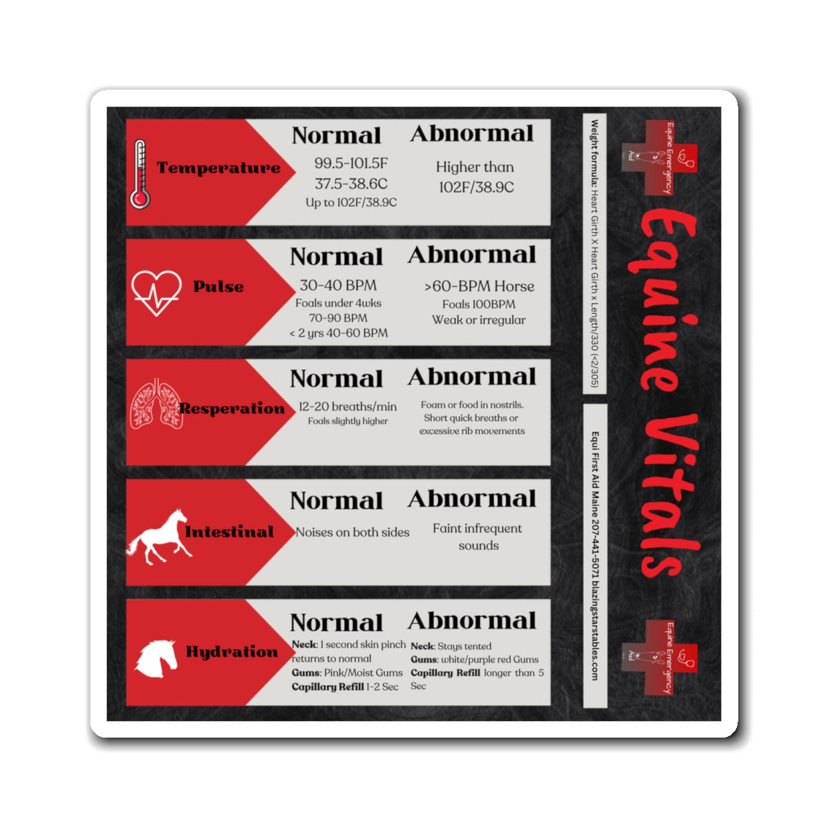 Equine Vital Signs Magnets (great for the horse trailer)