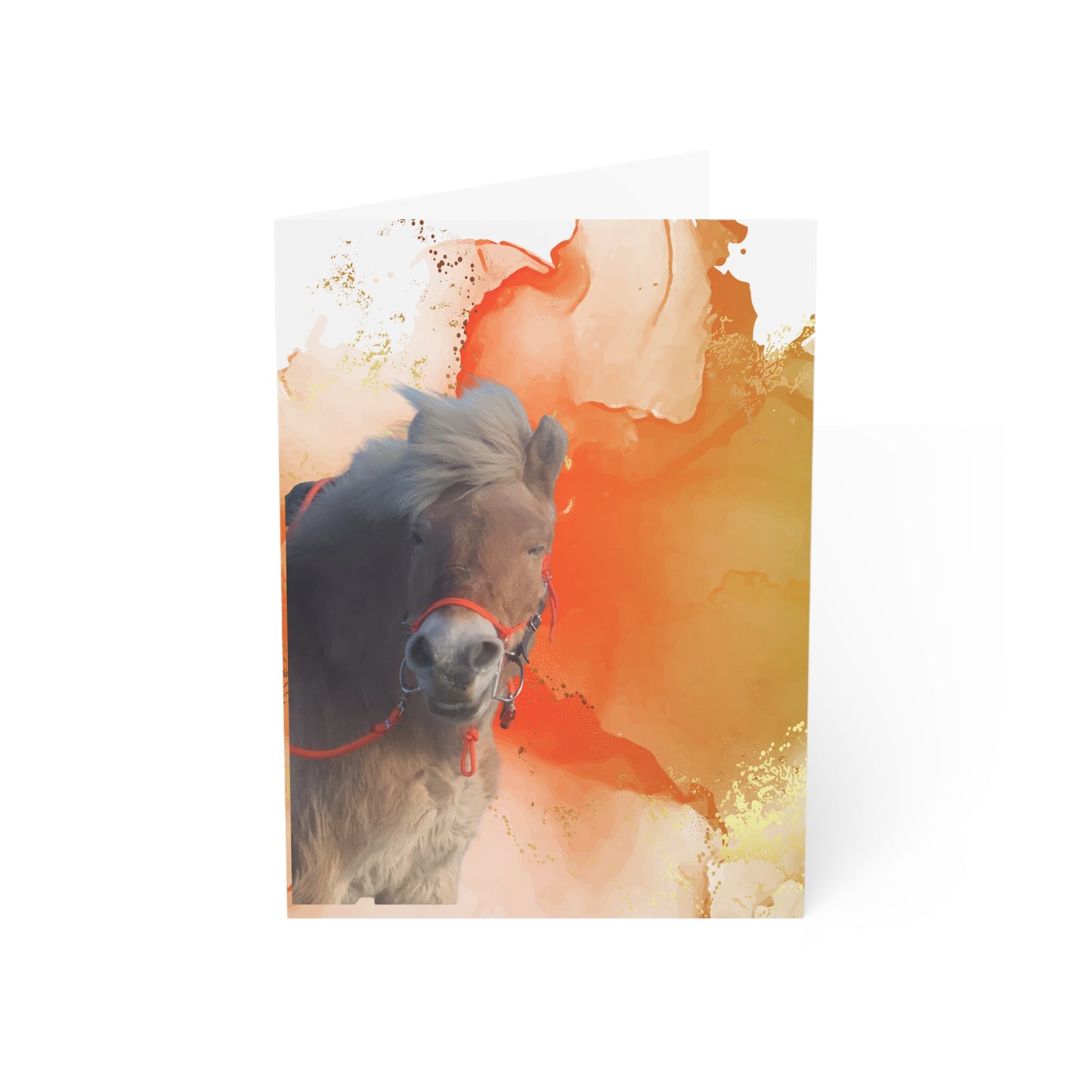 Lassa Day One or One Day Greeting Cards (1, 10, 30, and 50pcs)