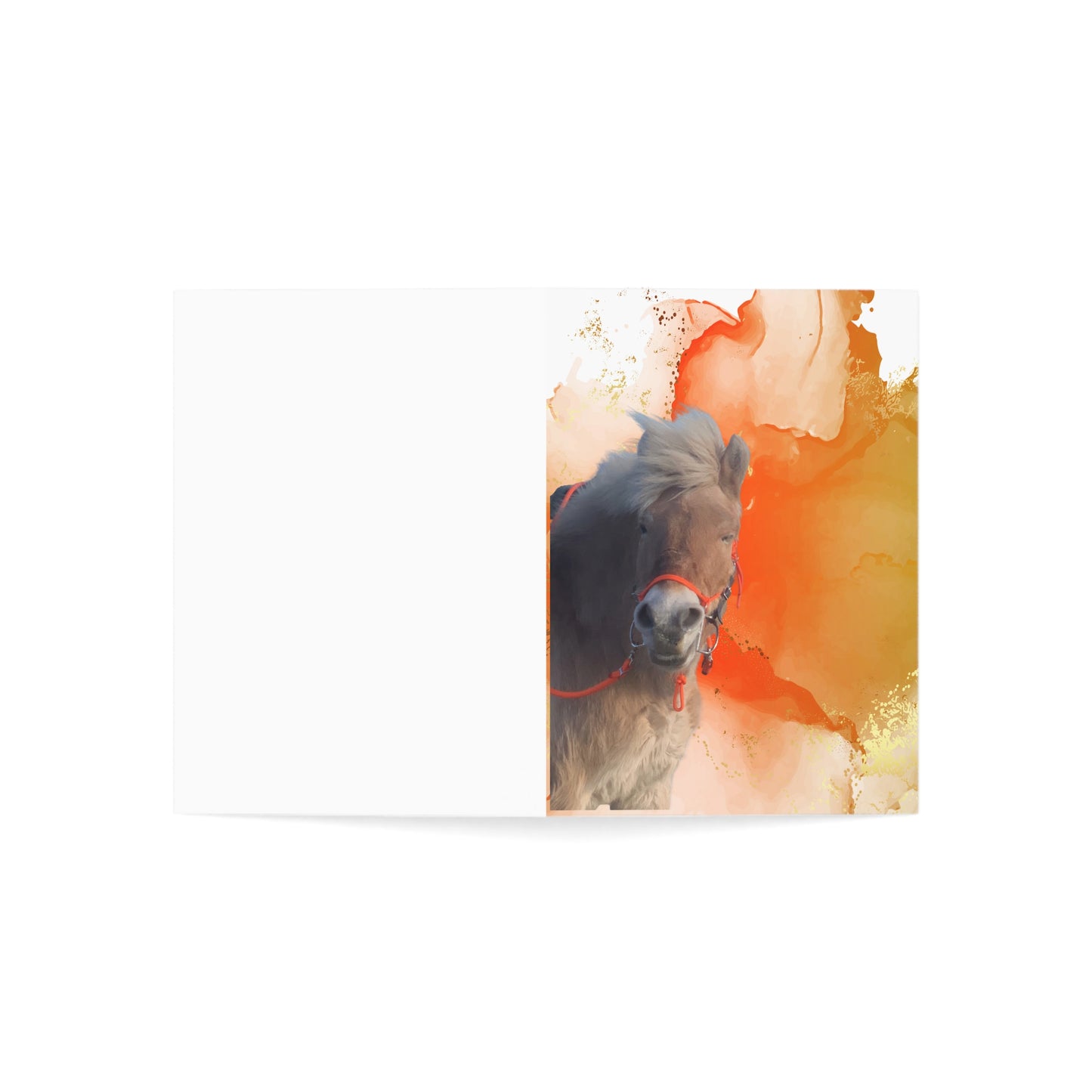 Lassa Day One or One Day Greeting Cards (1, 10, 30, and 50pcs)