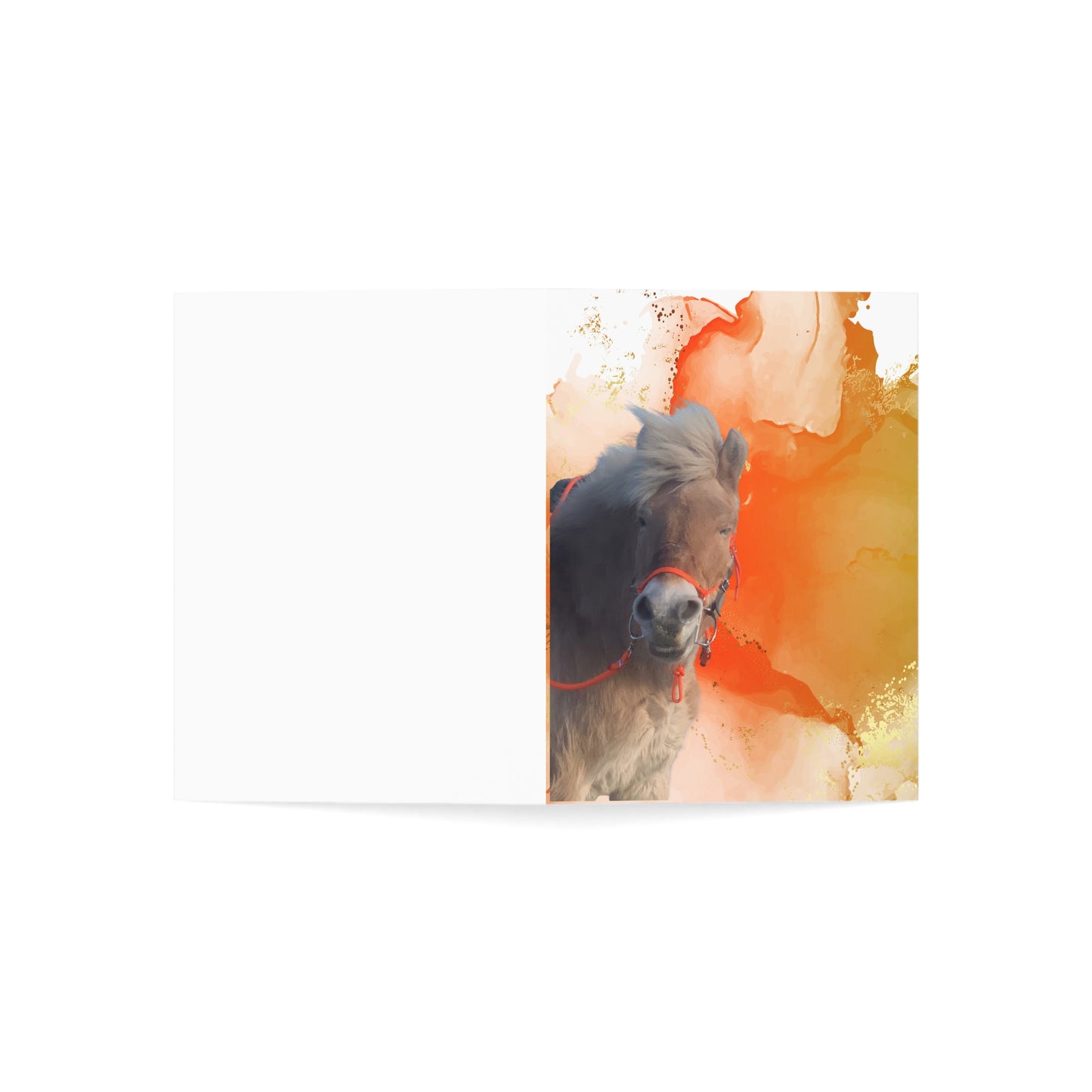 Lassa Day One or One Day Greeting Cards (1, 10, 30, and 50pcs)