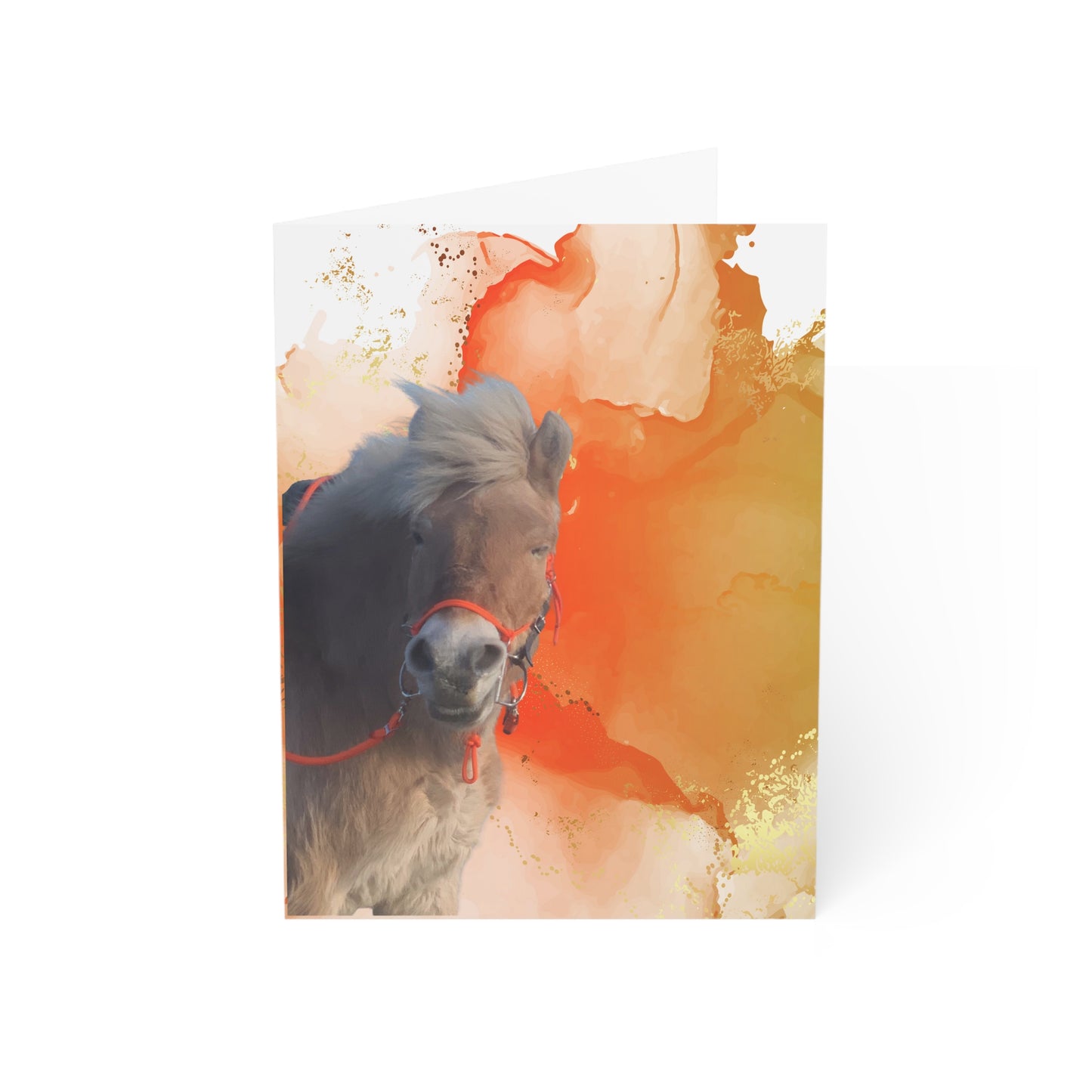 Lassa Day One or One Day Greeting Cards (1, 10, 30, and 50pcs)