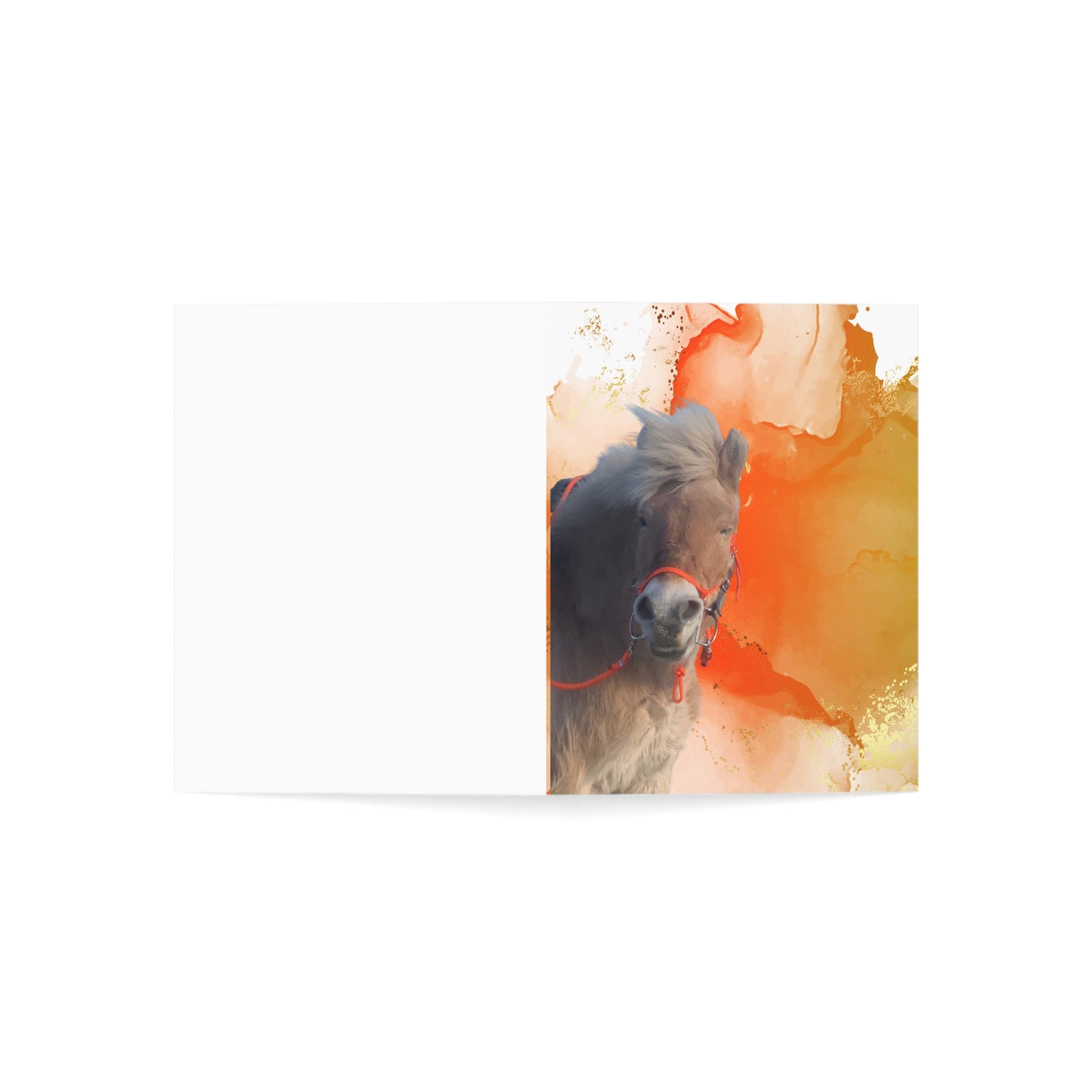 Lassa Day One or One Day Greeting Cards (1, 10, 30, and 50pcs)