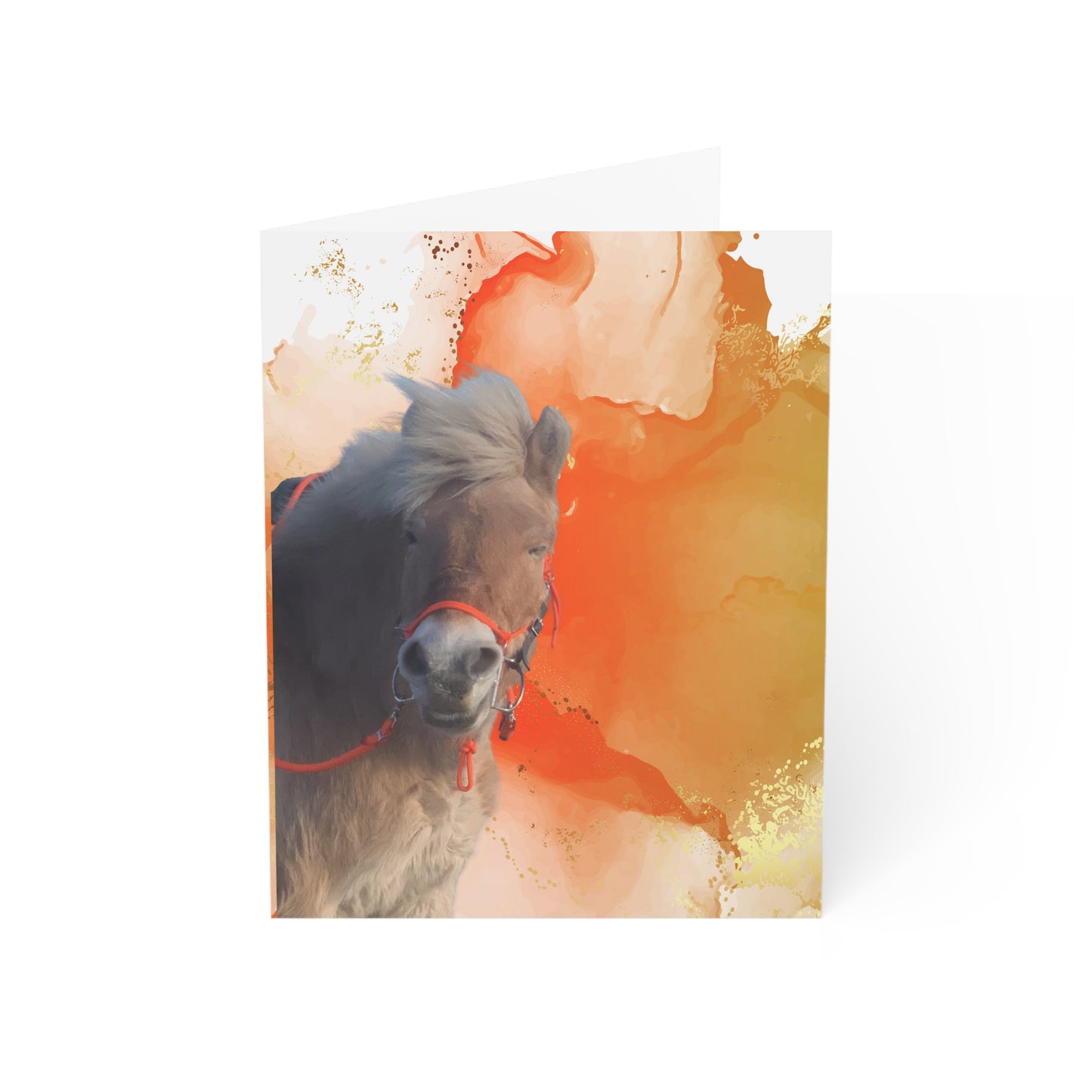 Lassa Day One or One Day Greeting Cards (1, 10, 30, and 50pcs)