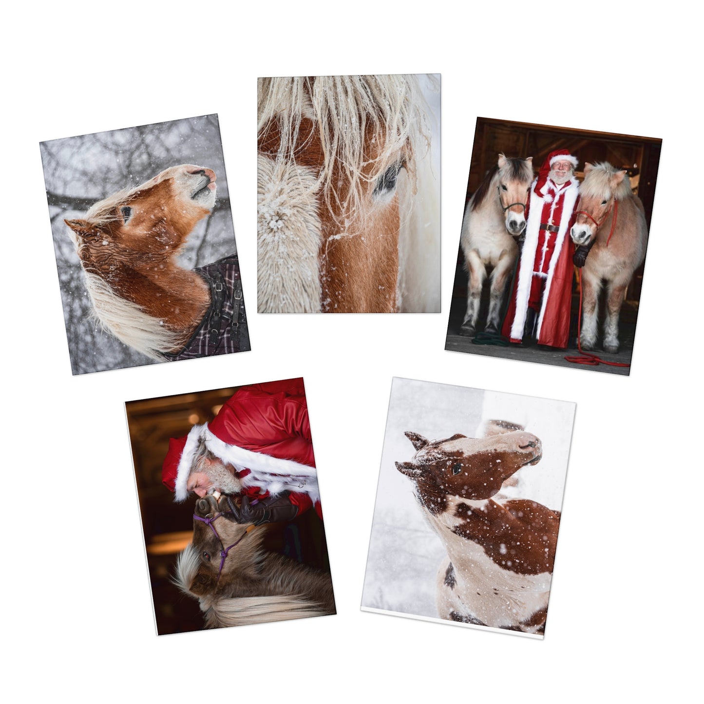 Holiday Multi-Design Greeting Cards (5-Pack)