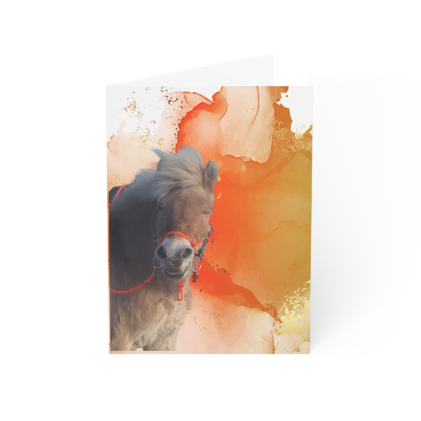 Lassa Day One or One Day Greeting Cards (1, 10, 30, and 50pcs)