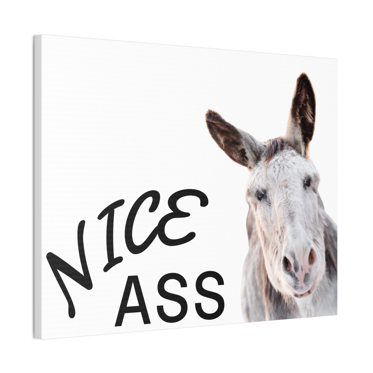 Nice Ass Donkey Canvas Print — Funny Animal Bathroom Wall Art