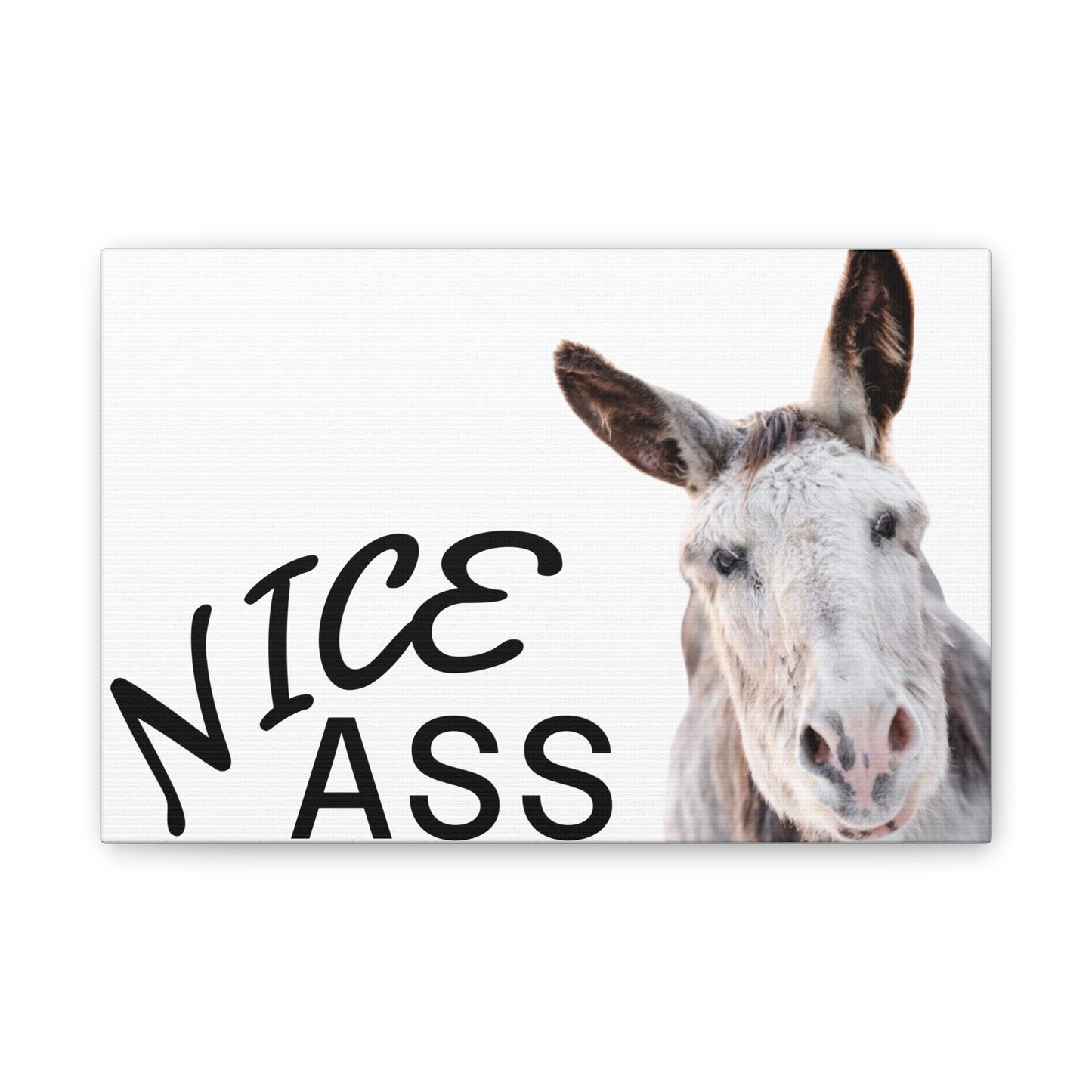 Nice Ass Donkey Canvas Print — Funny Animal Bathroom Wall Art