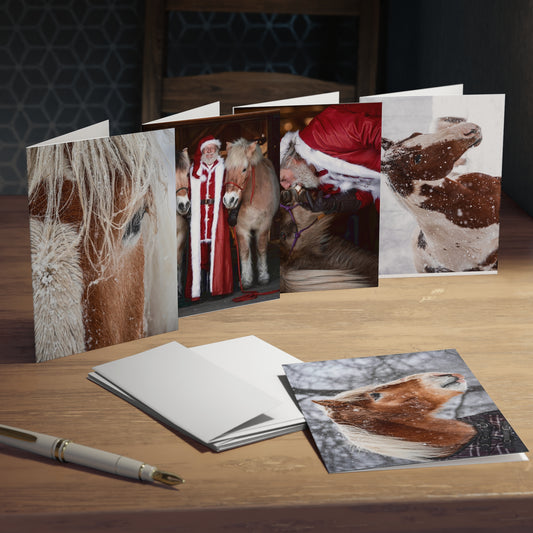 Holiday Multi-Design Greeting Cards (5-Pack)