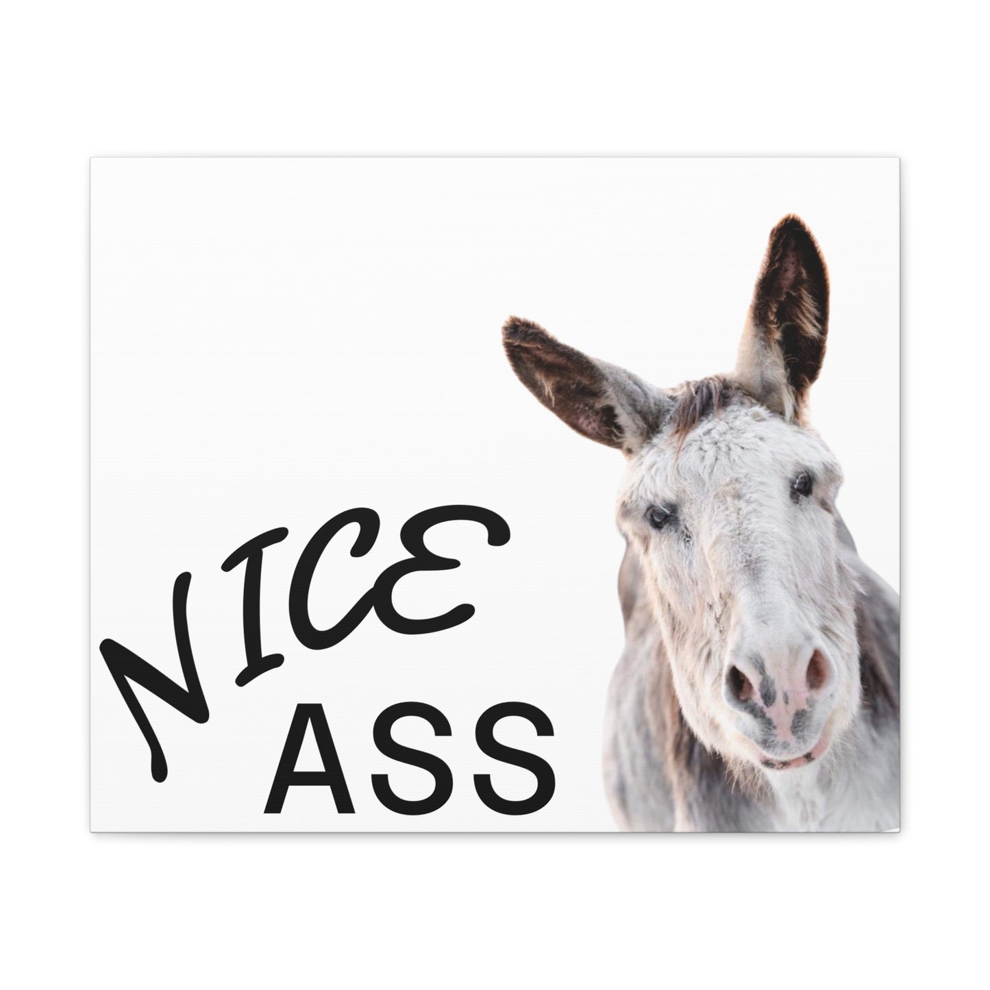 Nice Ass Donkey Canvas Print — Funny Animal Bathroom Wall Art