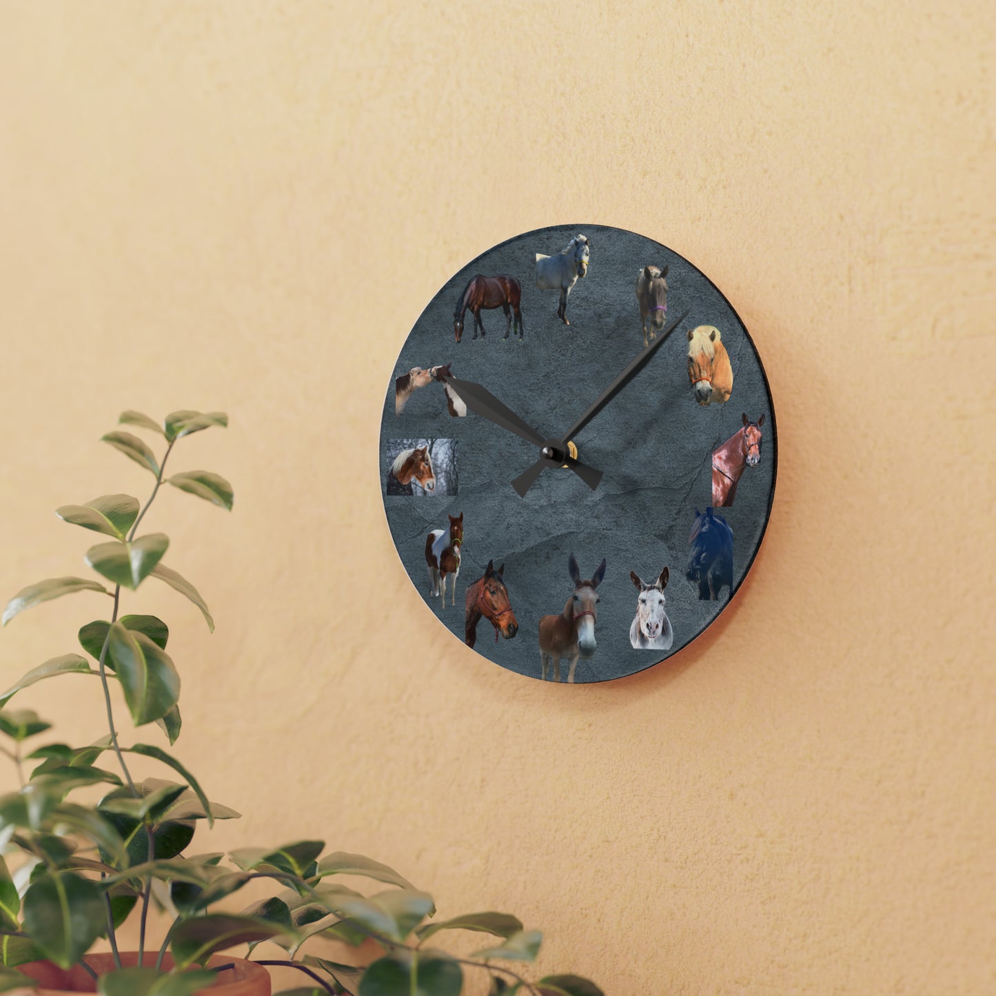 Horse Time!  Acrylic Wall Clock