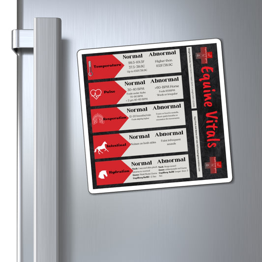 Equine Vital Signs Magnets (great for the horse trailer)