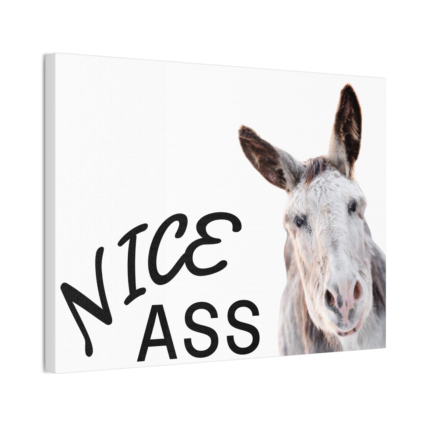 Nice Ass Donkey Canvas Print — Funny Animal Bathroom Wall Art