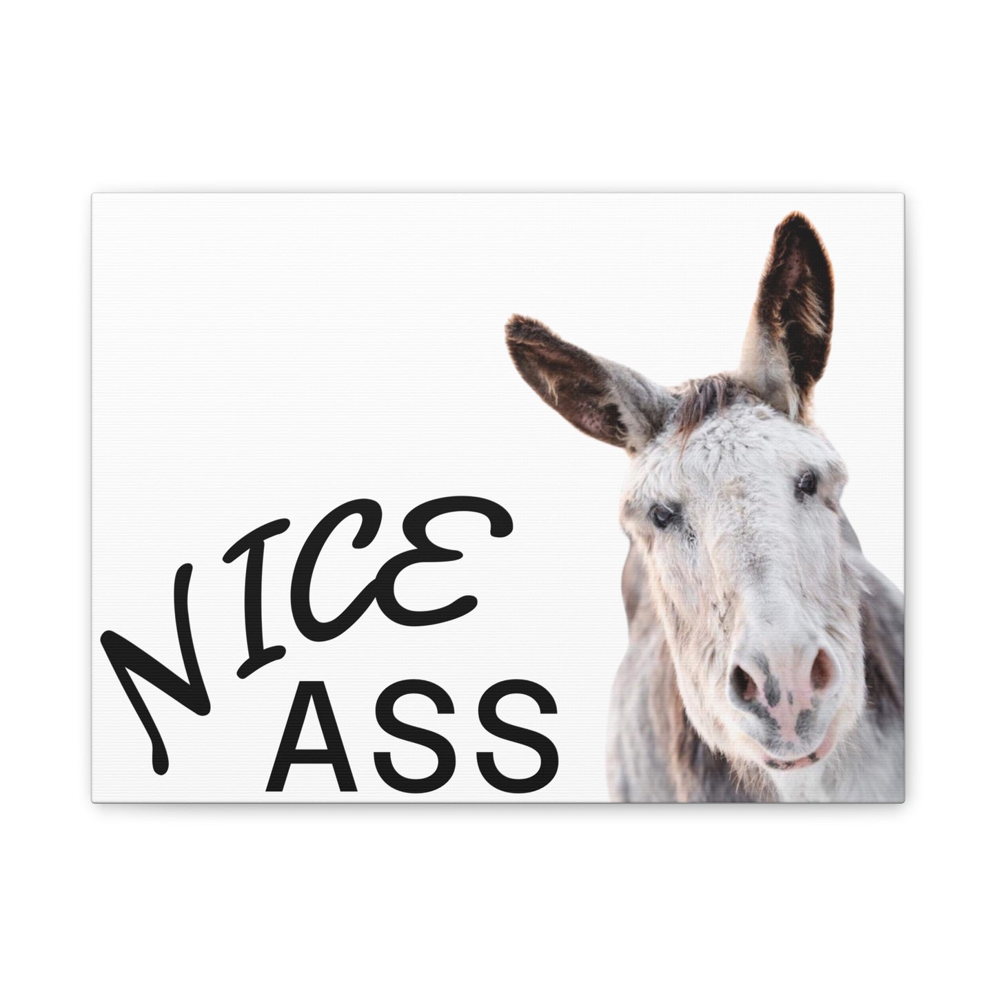 Nice Ass Donkey Canvas Print — Funny Animal Bathroom Wall Art