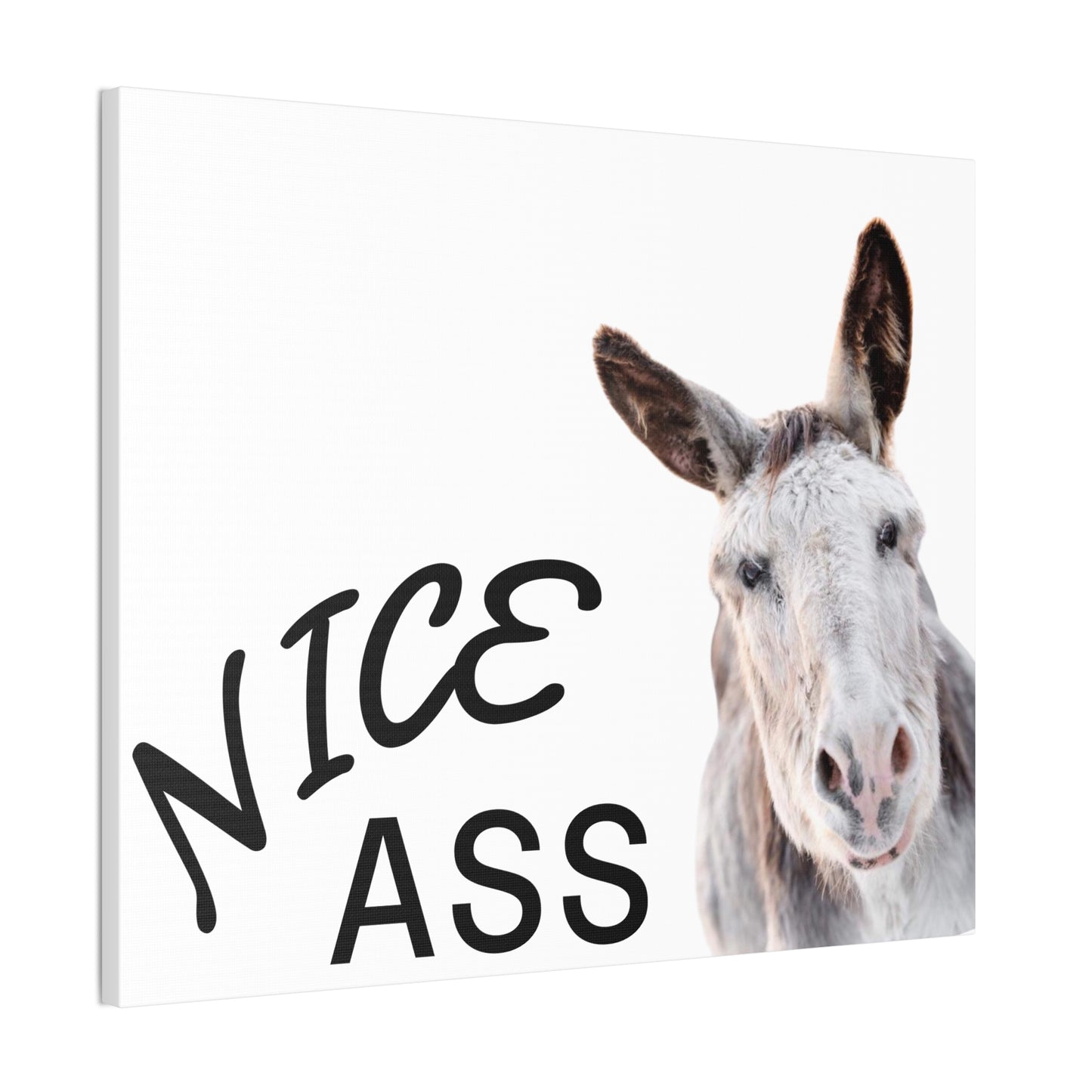 Nice Ass Donkey Canvas Print — Funny Animal Bathroom Wall Art