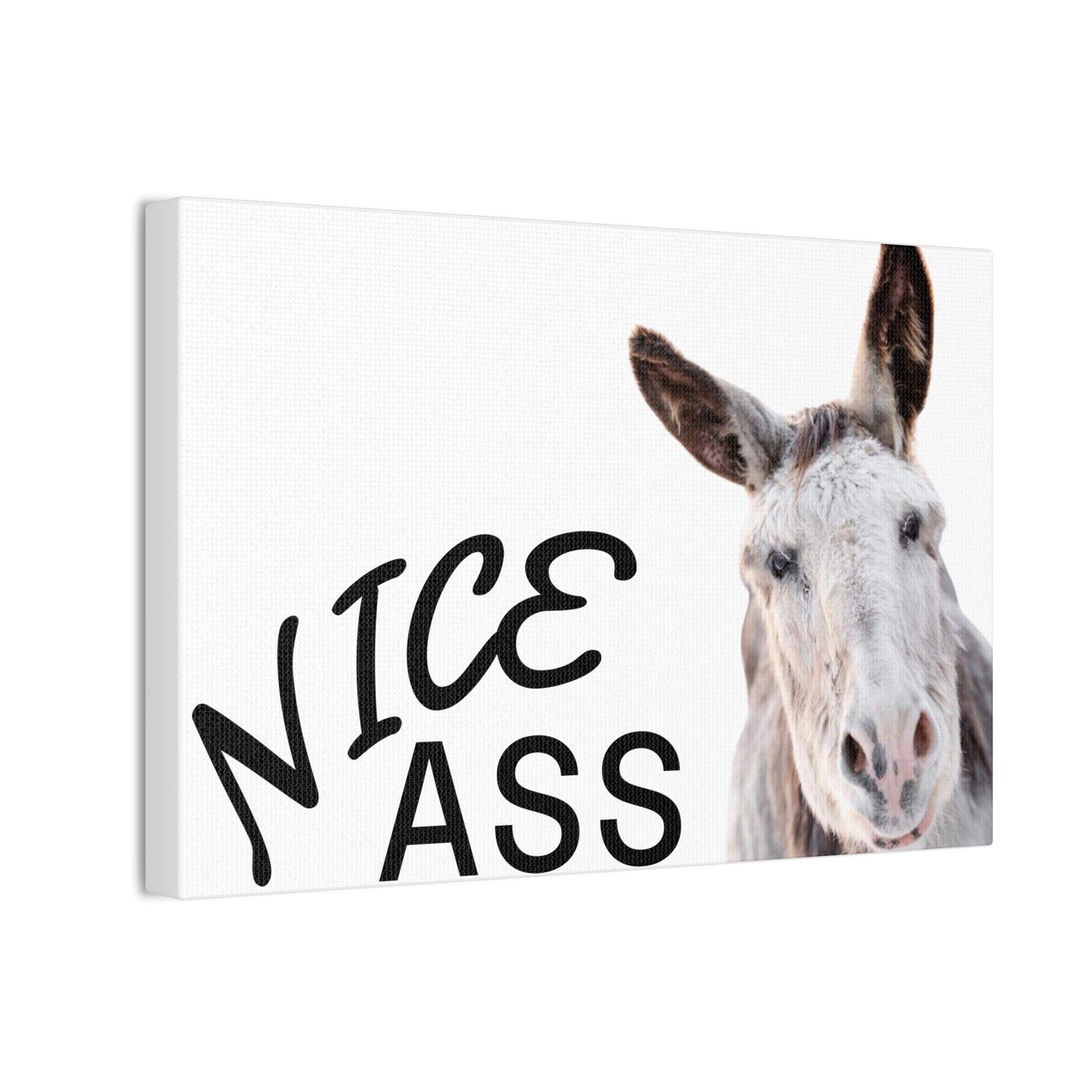 Nice Ass Donkey Canvas Print — Funny Animal Bathroom Wall Art
