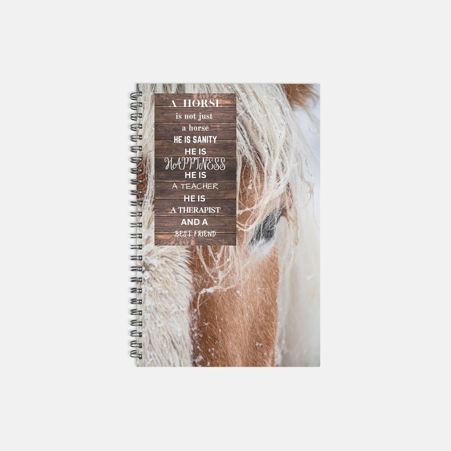 Taz the Belgium Notebook Softcover Spiral 5.5 x 8.5